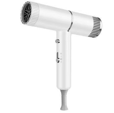 High Speed Ionic Hair Dryer, Professional Salon Blow Dryer with Negative Ions