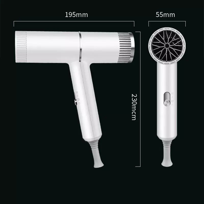 High Speed Ionic Hair Dryer, Professional Salon Blow Dryer with Negative Ions